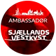 ambassadoer-logo-ny-beskaaret
